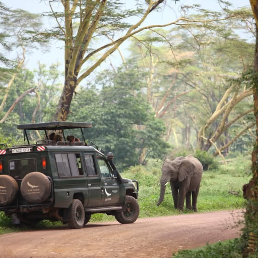 Grumeti Serengeti River Lodge